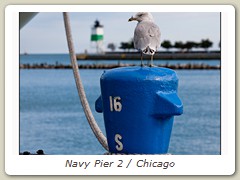 Navy Pier 2 / Chicago
